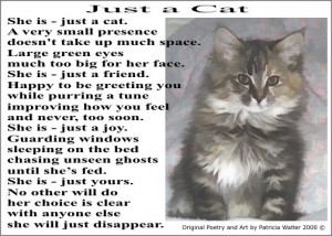 Just a Cat - original cat poetry and art by Patricia Walter