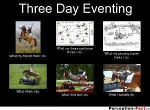 Three Day Eventing What my friends think I do. What my dressage ...
