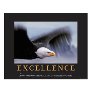 Excellence Eagle Motivational Poster (732339)