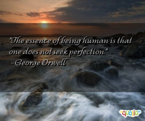 The essence of being human is that one does not seek perfection .