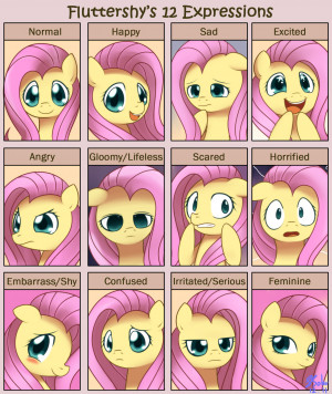 My Little Pony Friendship is Magic Fluttershy's 12 Expressions