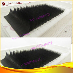 Faux Mink Eyelash Extensions