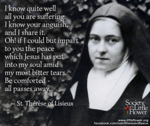 ... quite well all that you are suffering - St. Therese of Lisieux Quotes