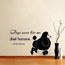 Wall Decals Quotes Dog Cat Grooming Salon Pet Shop Store Vinyl Sticker ...