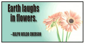 Spring is here, take some flowers quotes