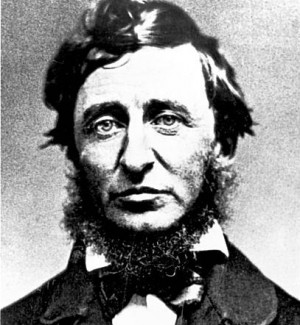 Related Pictures read henry david thoreau s civil disobedience that ...