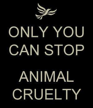 Stop Animal Testing , Stop Animal Cruelty Quotes , Stop Animal ...