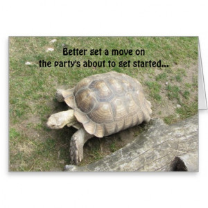 Cute Turtle Pictures Quotes Funny turtle birthday greeting