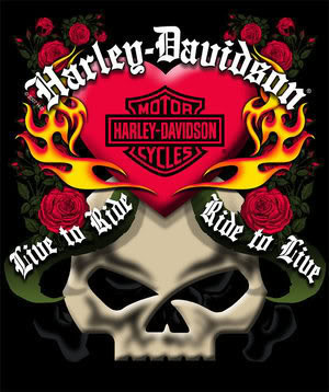 live to ride ride in live harley davidson