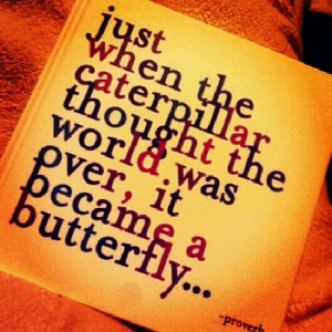 Caterpillar into a butterfly
