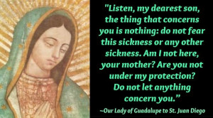 Our Lady of Guadalupe to St.Juan Diego