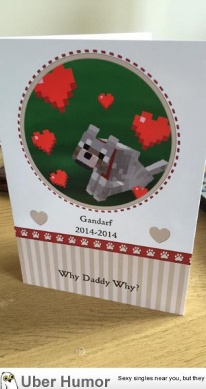 ... shot his Minecraft dog. After much haunting, we sent him this