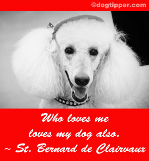 Who loves me loves my dog also. — St. Bernard de Clairvaux