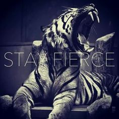 Stay fierce #quote More