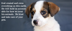 Mission: Encourage pet adoptions and responsible pet ownership ...