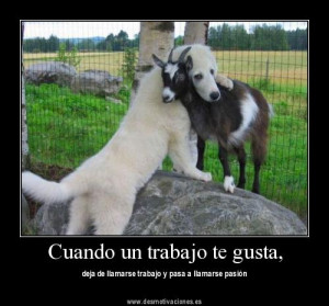 Cuando un trabajo te gusta, (FOTO Desmotivaciones)