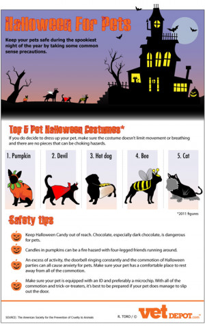 Halloween Pets Infographic Halloween Pet Safety