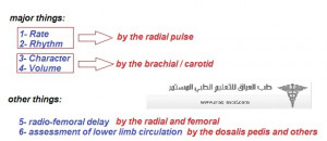 Anterior Peripheral Pulse