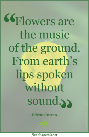 Begin your week with floral quotes of inspiration, happiness and ...