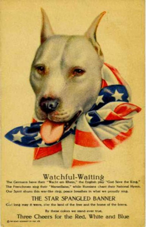 World War 1 Pro-American Propaganda Poster