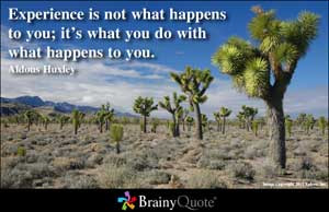 Experience is not what happens to you; it's what you do with what ...