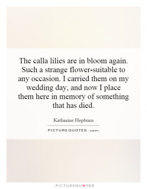 The calla lilies are in bloom again. Such a strange flower-suitable to ...