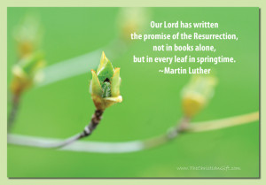 Categories: quotes Tags: Martin Luther , Resurrection