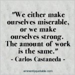 Pay No Attention To What The Critics Say