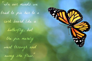 quote from the book stargirl by jerry spinelli.