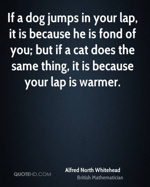 ... ; But If A Cat Does The Same Thing, It Is Because Your Lap Is Warmer