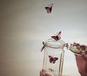 Butterflies And Transformation, Butterfly Photos, Butterfly Quotes