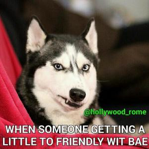 someone getting a little to friendly wit bae save to folder memes bae ...