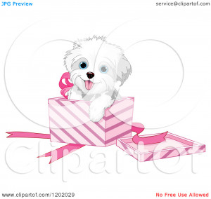Cartoon of a Cute Playful Bichon Frise or Maltese Puppy Dog in a Pink ...