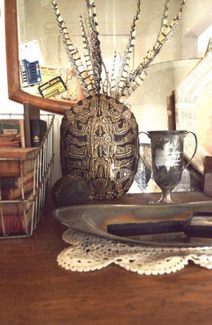 Vase turtle shell idea: Vintage Large, Turtles Shells, Large Turtles ...