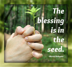 inspirational quote: 