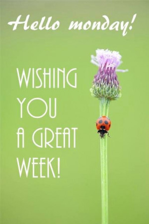 Hello MONDAY! Wishing You a Great Week ...