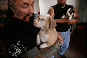 Tough Guys Saving Puppies