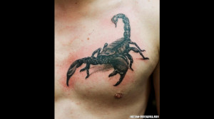 17782-scorpion-tattoo-images-2013-tattoo-design-1366x768.jpg