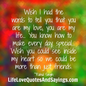 wish i had the words to tell you that you are my love you are my life ...