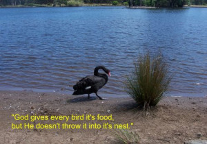 God Gives Every Bird It’s Food But He Doesn’t Throw It Into It’s ...