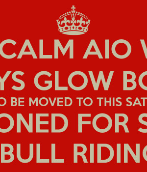 bull riding quotes