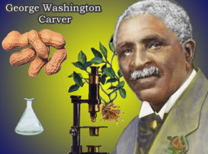 Dr. Carver works included the development of agricultural derived ...