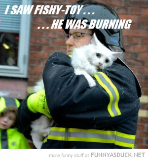 upset sad cat lolcat animal fireman rescue saw fishy tou burning funny ...