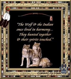 ... native american indian native american quotes ni nature quotes resized