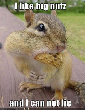 They just tryin' to get a nut like squirrels in his mad world