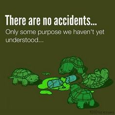 Quotes Love, Inspiration, Wisdom Quotes, Ninja Turtle Quotes, Tmnt ...