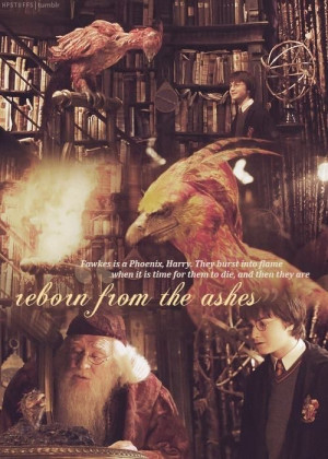 Day 11- Favorite Magical Creature- Fawkes
