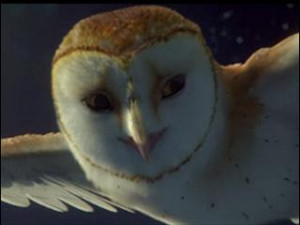 Legend of the Guardians: The Owls of Ga'Hoole