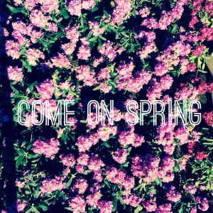 on Spring spring spring quotes spring pictures spring is coming spring ...