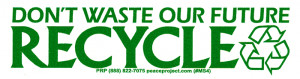 MS004 - Don't Waste Our Future - Recycle - Mini-Sticker